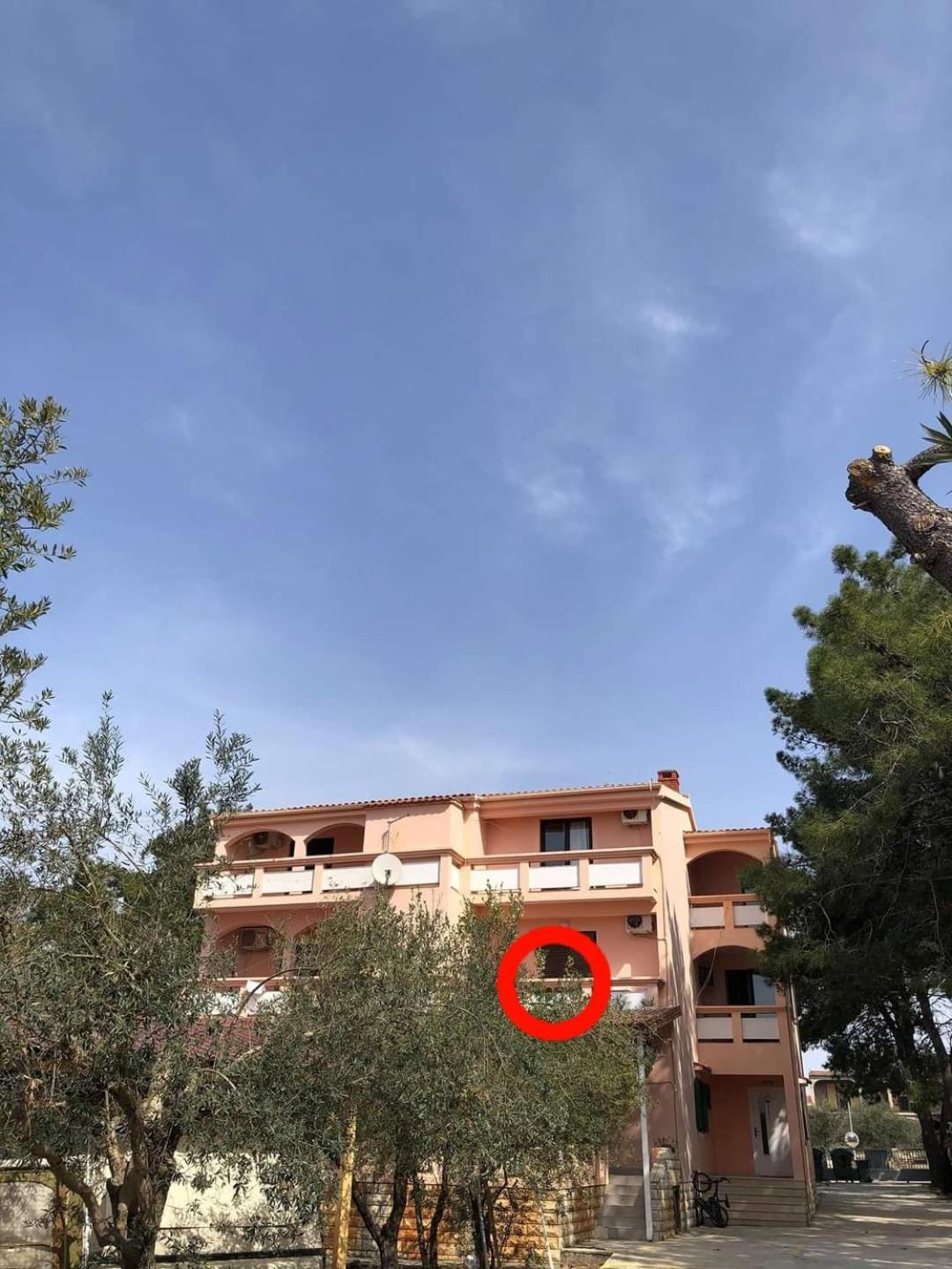 Villa Matea - Vir Exterior photo